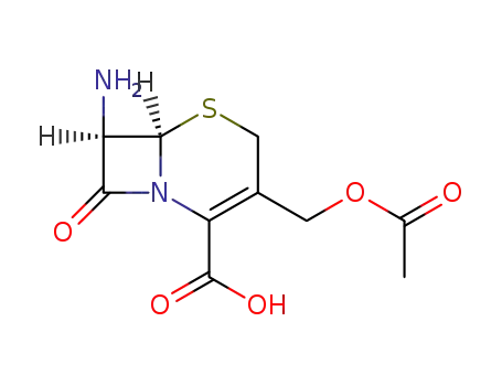 7-Aminocephalosporanic acid